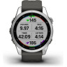 Часы GARMIN FENIX 7S SILVER WITH GRAPHITE BAND 11158